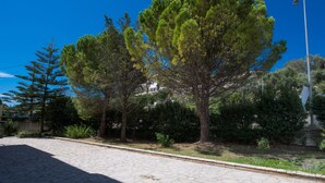 A paved street with trees and a clear blue sky. - Magicians Apartments (Lefkada)