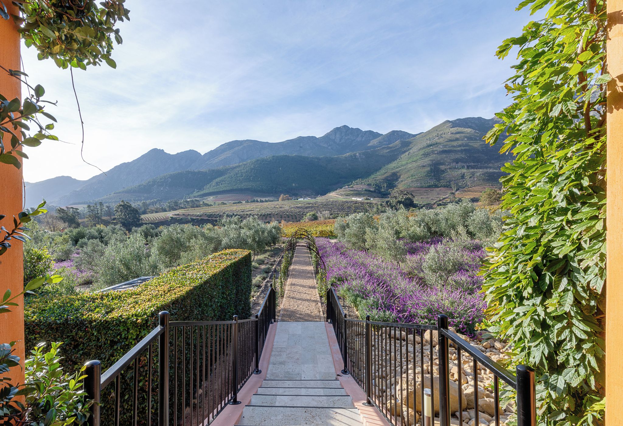 A pathway leading to a mountainous landscape with a clear sky.