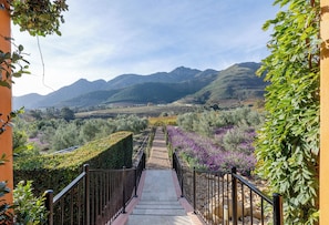 A pathway leading to a mountainous landscape with a clear sky. - La Residence (Franschhoek)