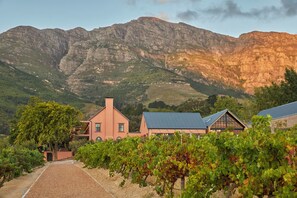 Un vignoble avec des rangées de vignes, un bâtiment à la façade rouge et, au loin, une chaîne de montagnes.
