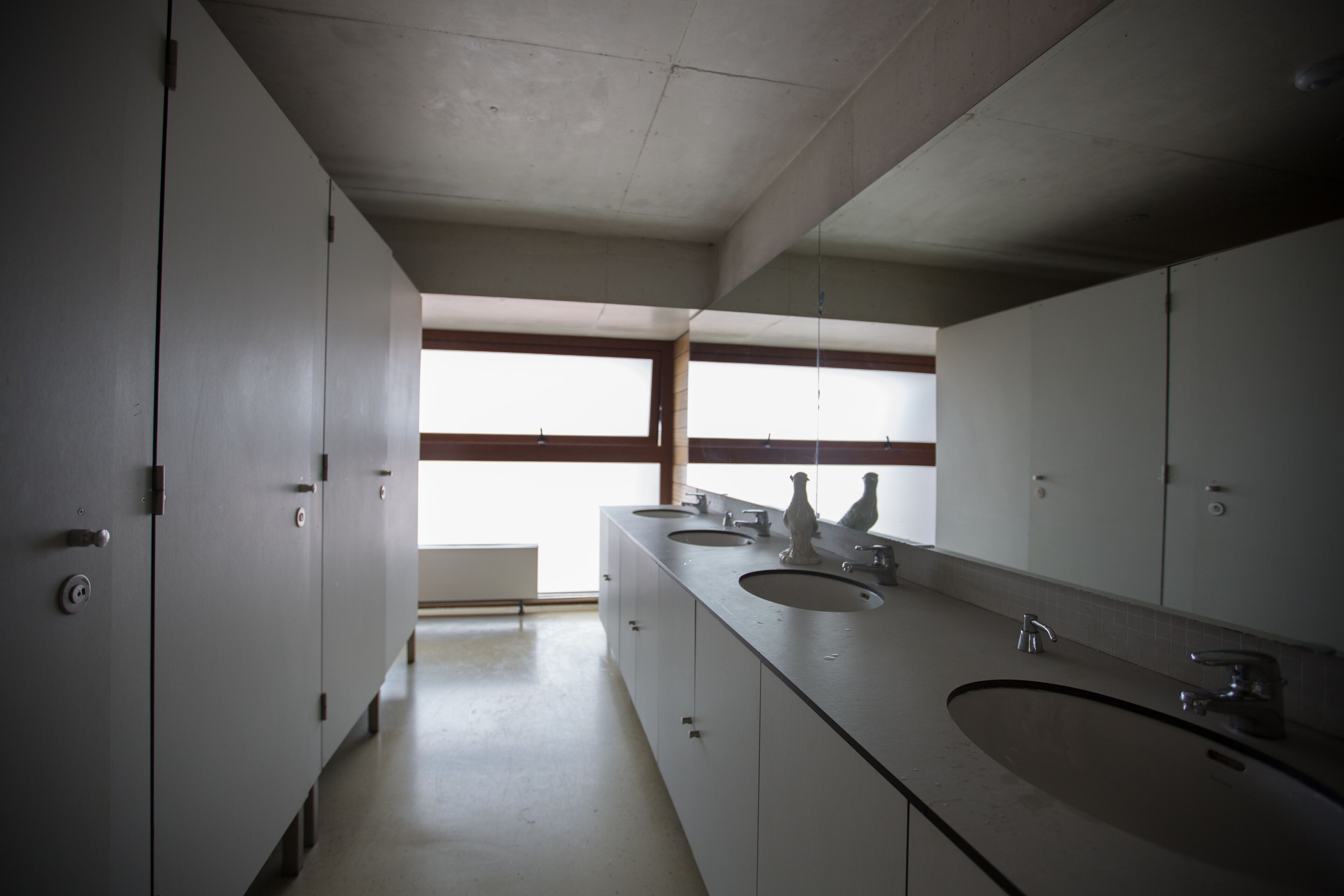Un bagno moderno con un lungo mobile lavabo, diversi lavandini e un'ampia finestra che permette l'ingresso di luce naturale.