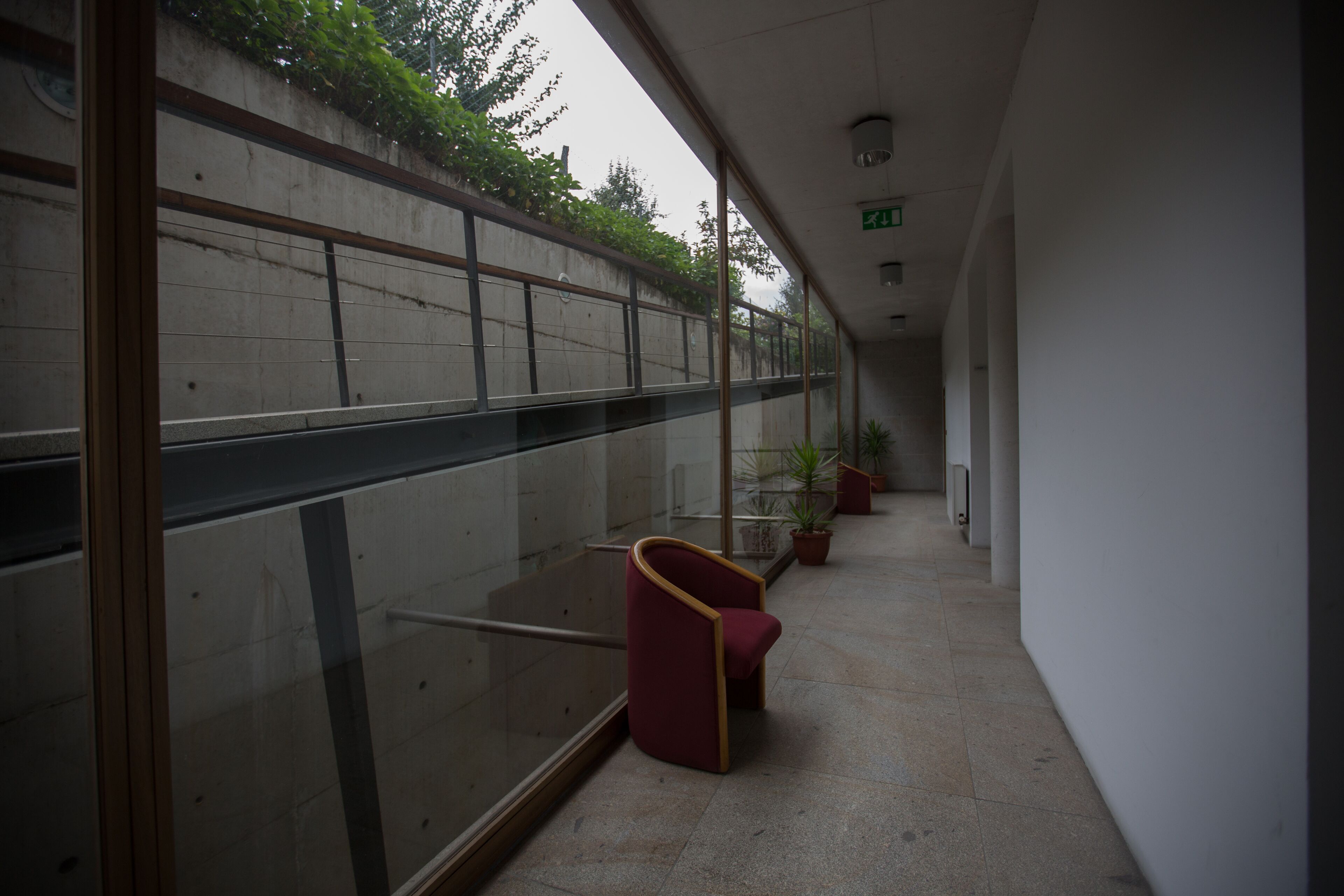 A corridor with a glass wall, potted plants, and red chairs.