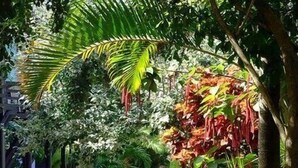 Un sendero serpentea por un jardín con diversas plantas y un banco.
