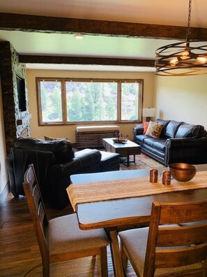 TV, fireplace, offices