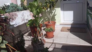 A balcony with potted plants and a white door. - Vivenda Viviani (Praia)