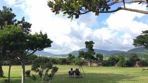 Un champ verdoyant, parsemé d’arbres, sous un ciel dégagé.