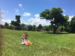 Área da propriedade