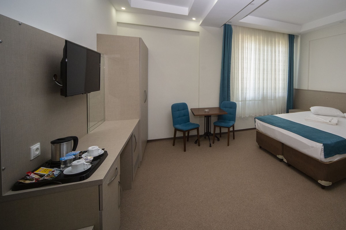 Une chambre d’hôtel avec un lit, un bureau, deux chaises, une télévision et une fenêtre avec des rideaux.