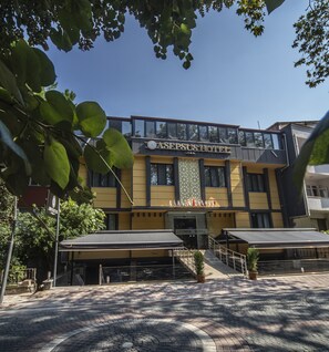 Front of property - Vira 10 Hotel (Gonen)