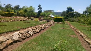 A landscaped garden with a stone pathway, neatly trimmed hedges, and a variety of plants.