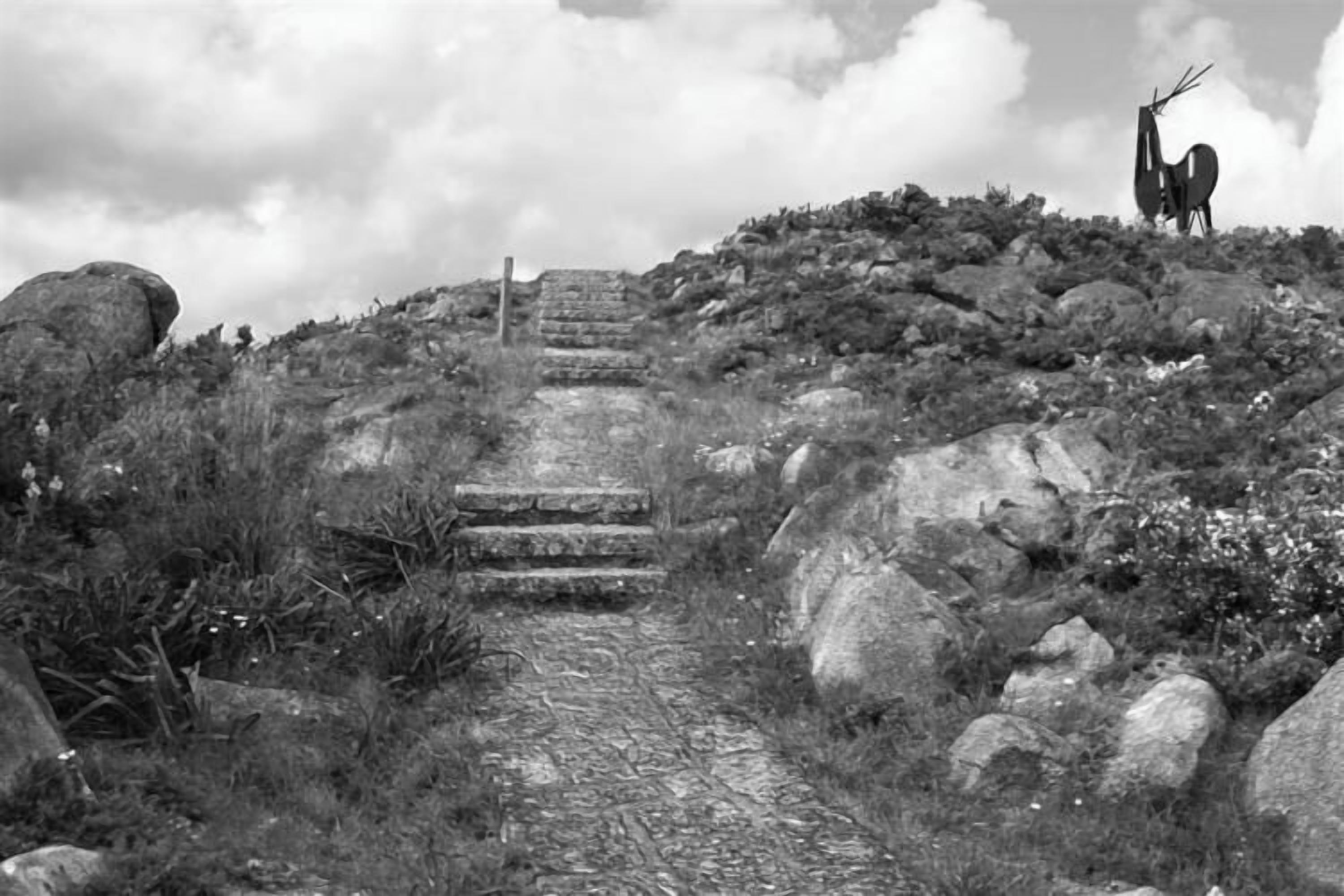 A stone staircase leading up a hill with a rocky landscape and a statue of an animal at the top.