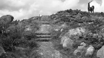 A stone staircase leading up a hill with a rocky landscape and a statue of an animal at the top.