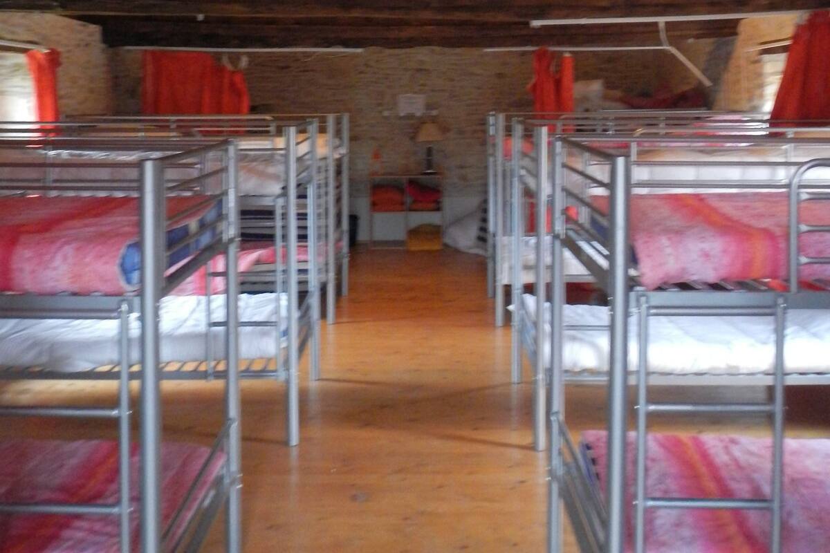 A dormitory room with bunk beds arranged in two rows.
