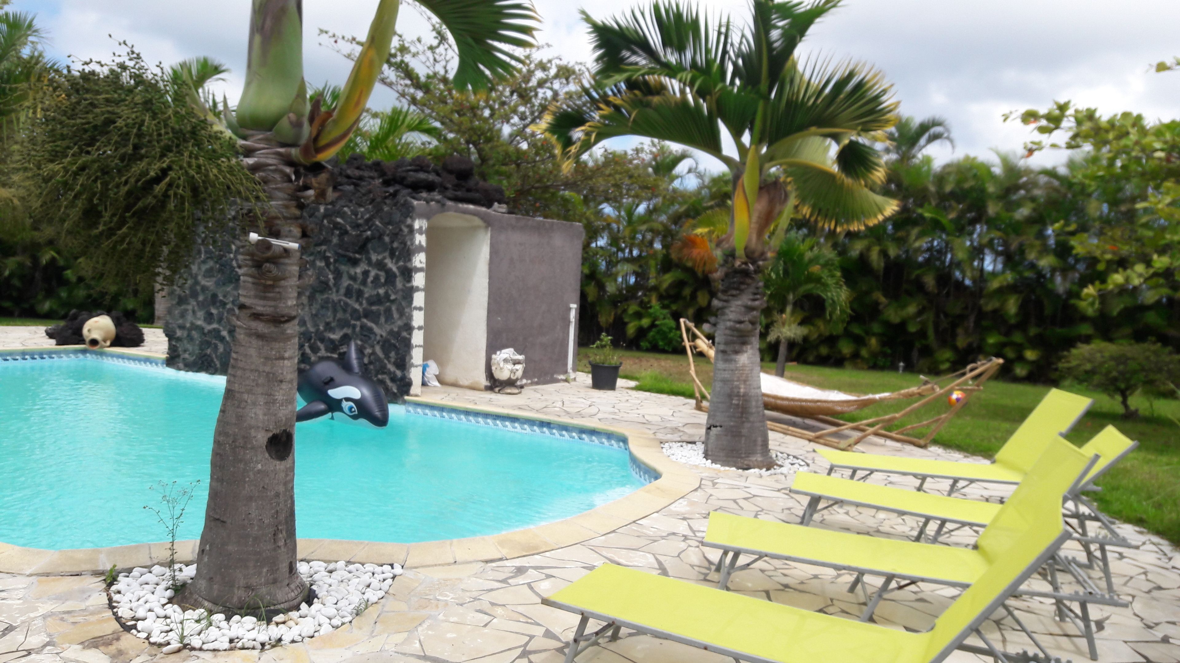 Piscine extérieure, parasols de plage, chaises longues