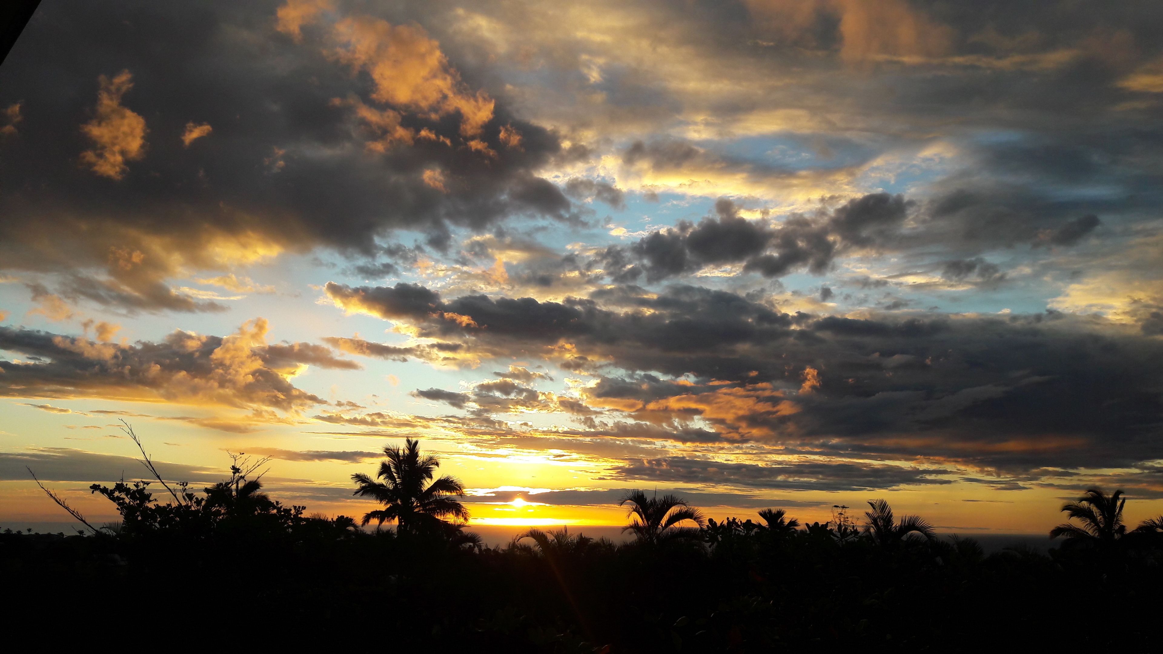 A sunset over a landscape with palm trees silhouetted against the sky.