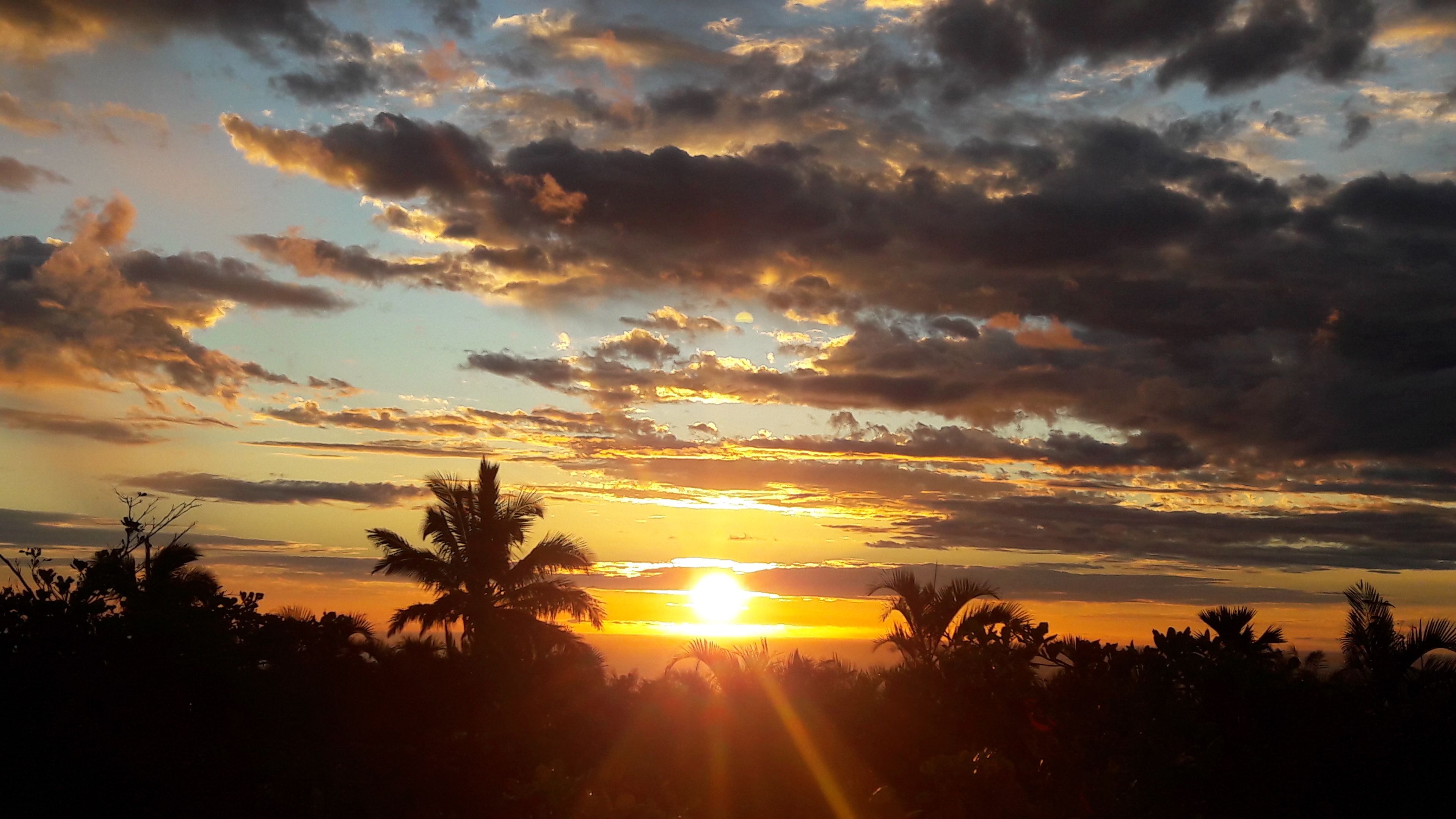 Un coucher de soleil sur un paysage où se dessinent les silhouettes de palmiers, avec un ciel dégagé.