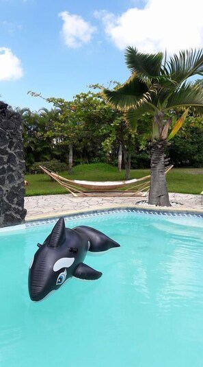 A pool with an inflatable orca float, a hammock, and palm trees in the background. - La Kaz A Dom 974 (Saint-Paul)