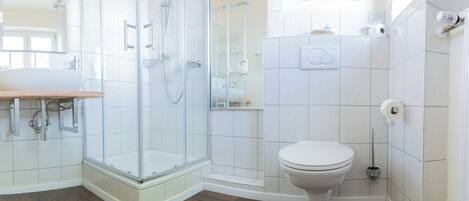 A modern bathroom with a glass-enclosed shower, a toilet, and a sink.