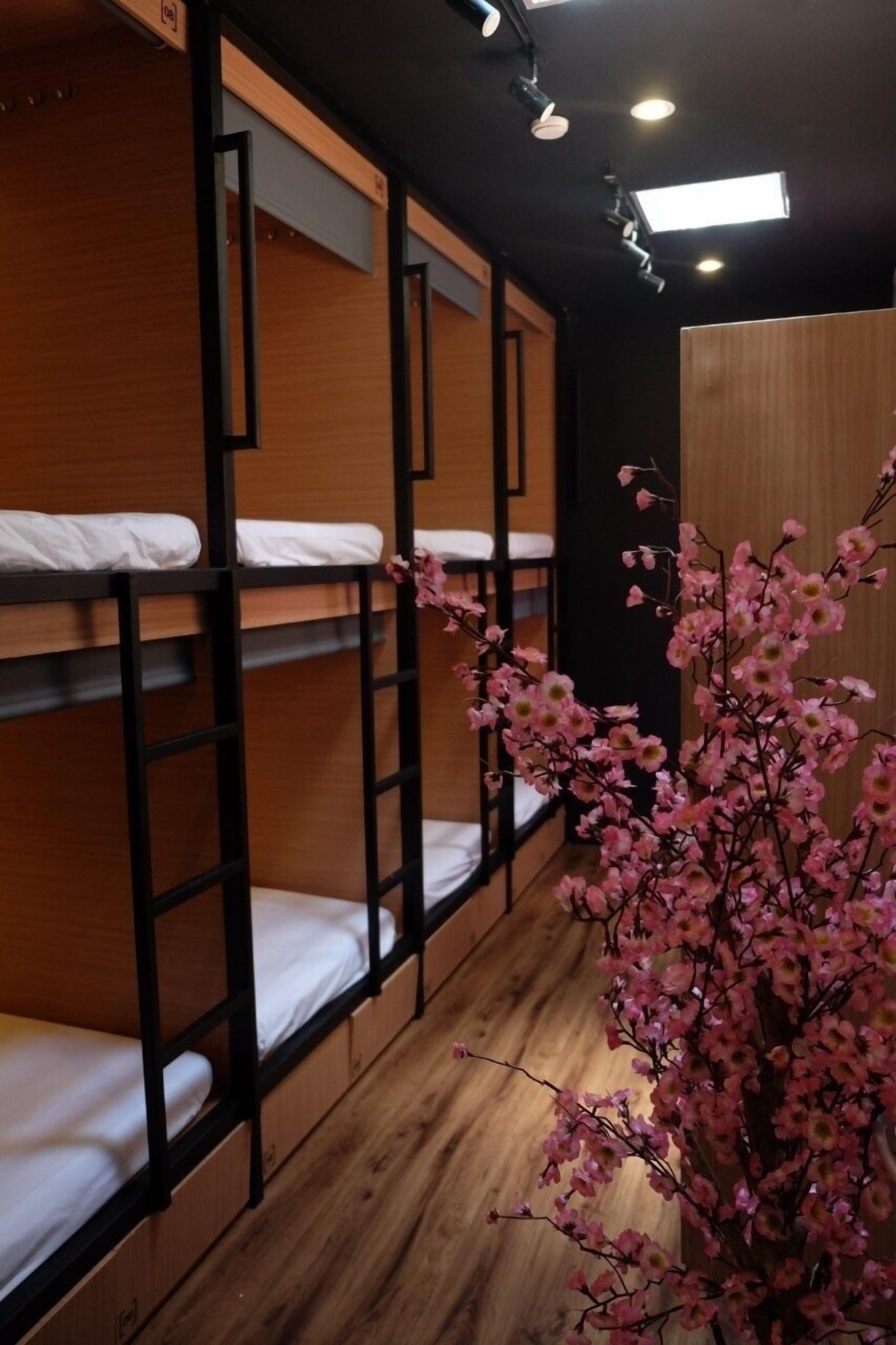 A bunk bed room with wooden walls and a ceiling light fixture.