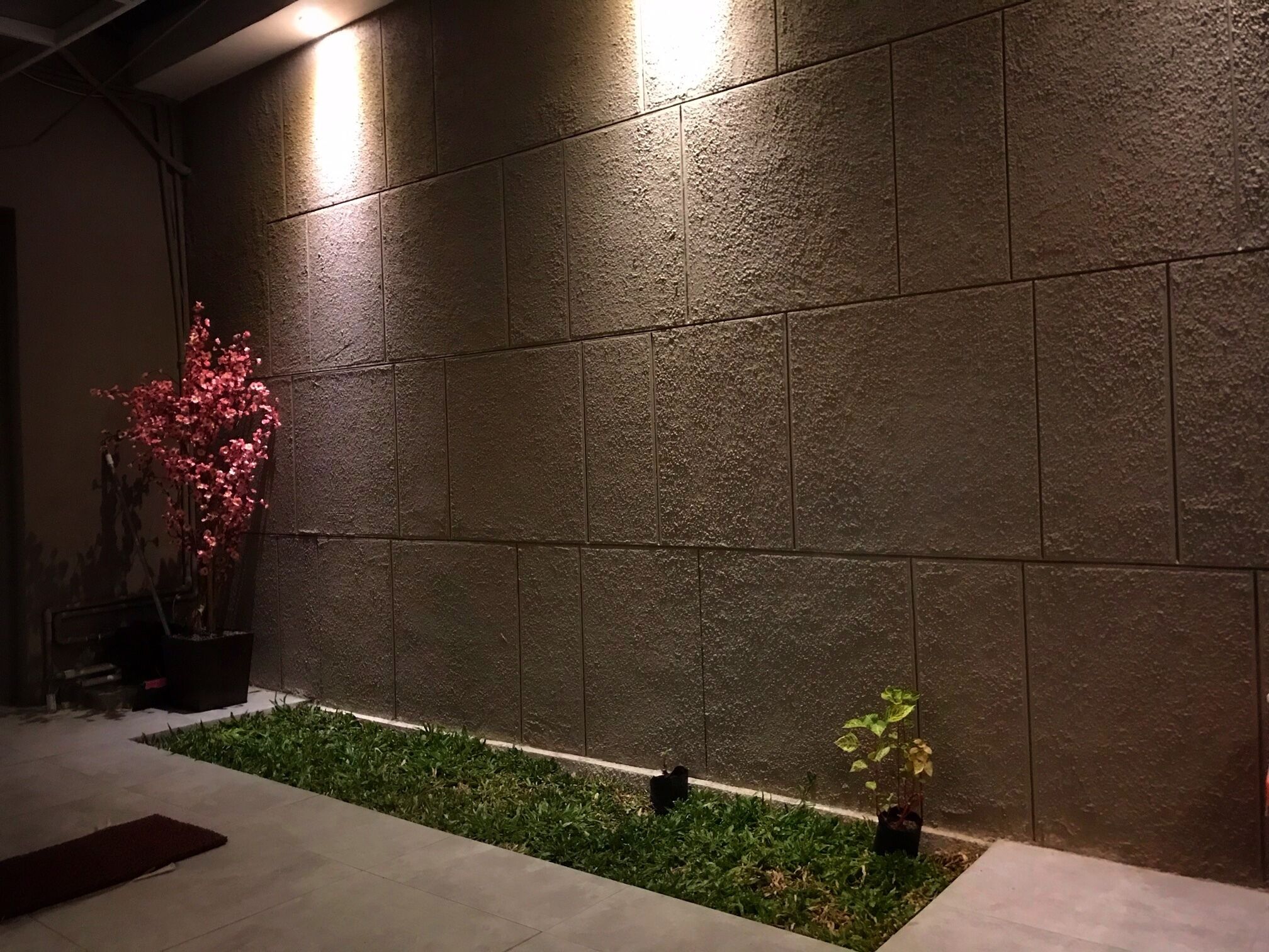 Dormitorio compartido básico, dormitorio mixto | Terraza o patio