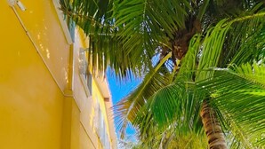 Pasillo bordeado de plantas y palmeras, que conduce a un edificio de paredes amarillas.