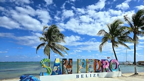 Una playa con un letrero que dice "Belize" y una escultura de tortuga.