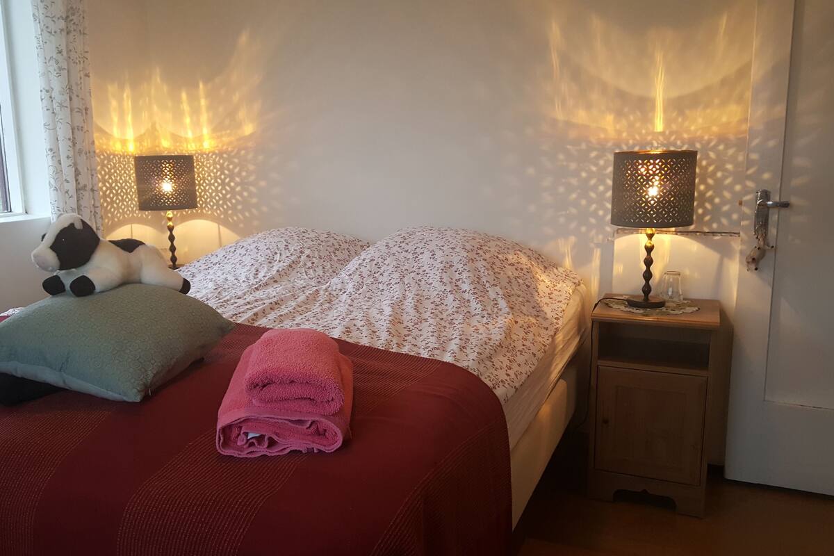 Habitación estándar doble, baño compartido (Room 4) | Cortinas opacas, wifi gratis, ropa de cama