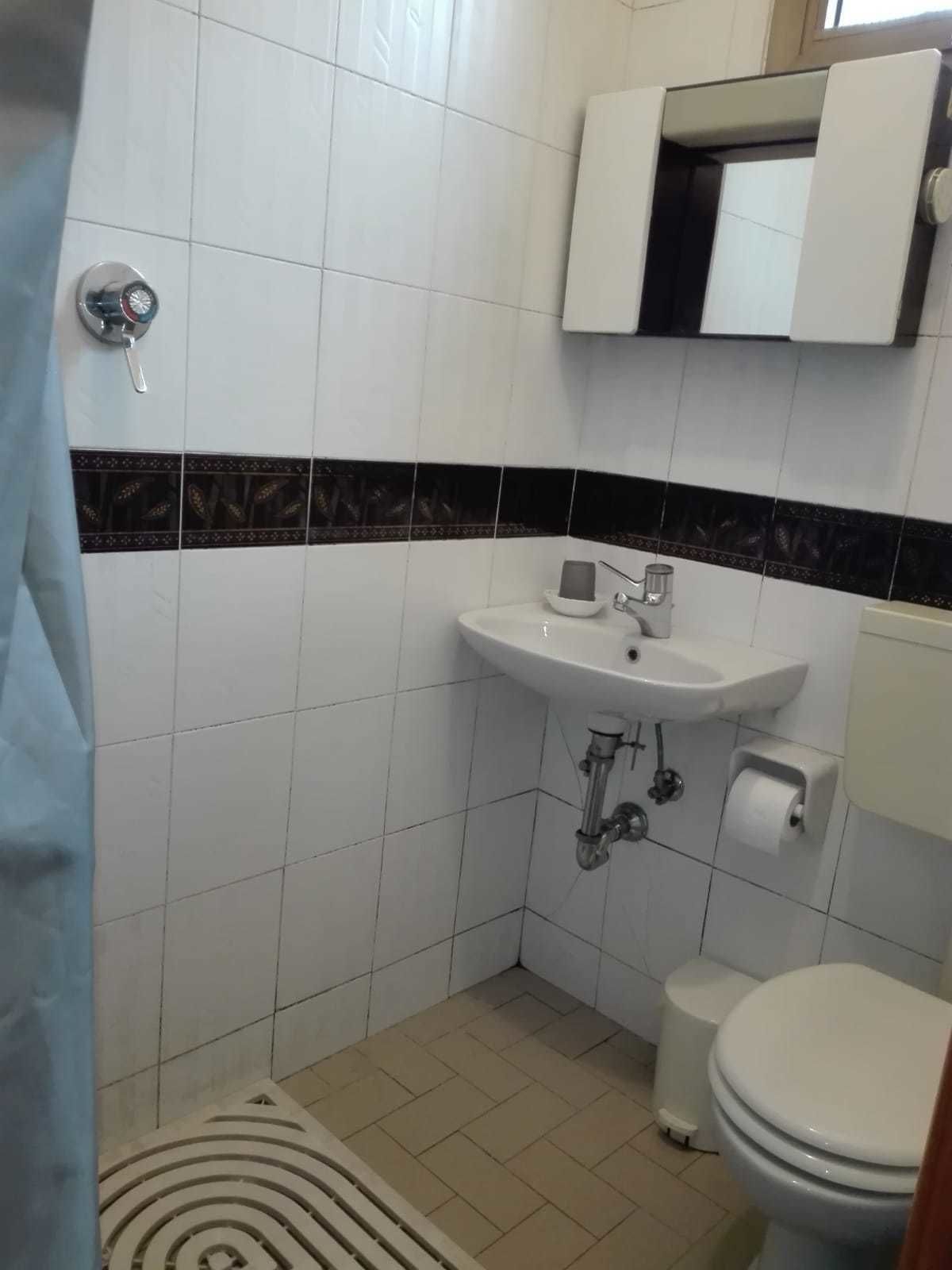 Une salle de bain avec un lavabo blanc, des toilettes et un espace douche.