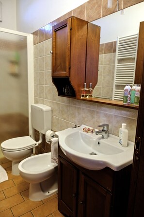 Triple Room | Bathroom | Shower, rainfall showerhead, free toiletries, hair dryer - B&B Il Cantastorie Casa Molinari-Boldrini (Castelfranco Emilia)