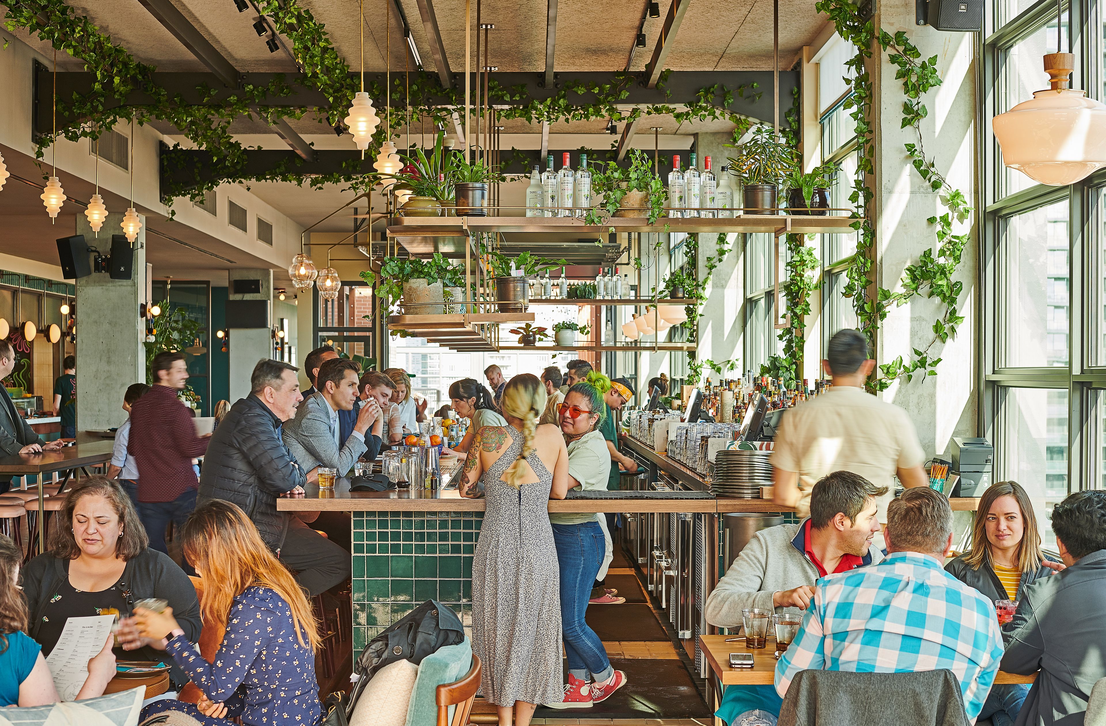Un bar animado con clientes sentados en mesas, estanterías llenas de botellas y plantas colgantes.