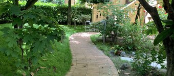 Villa Masi Rental Rooms