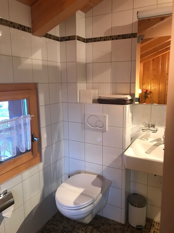 A bathroom with a toilet, sink, and mirror.