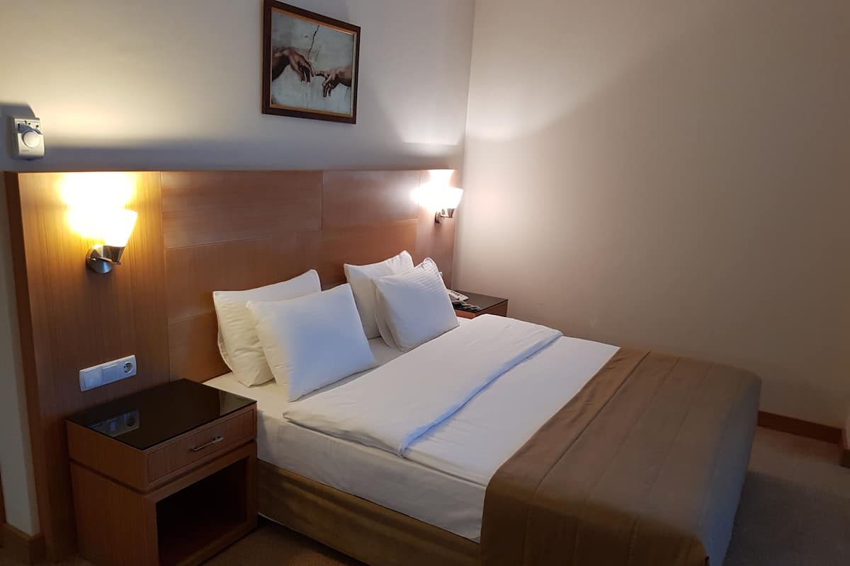 Basic Double Room Single Use, Accessible, Garden View | In-room safe, blackout drapes, free WiFi, wheelchair access