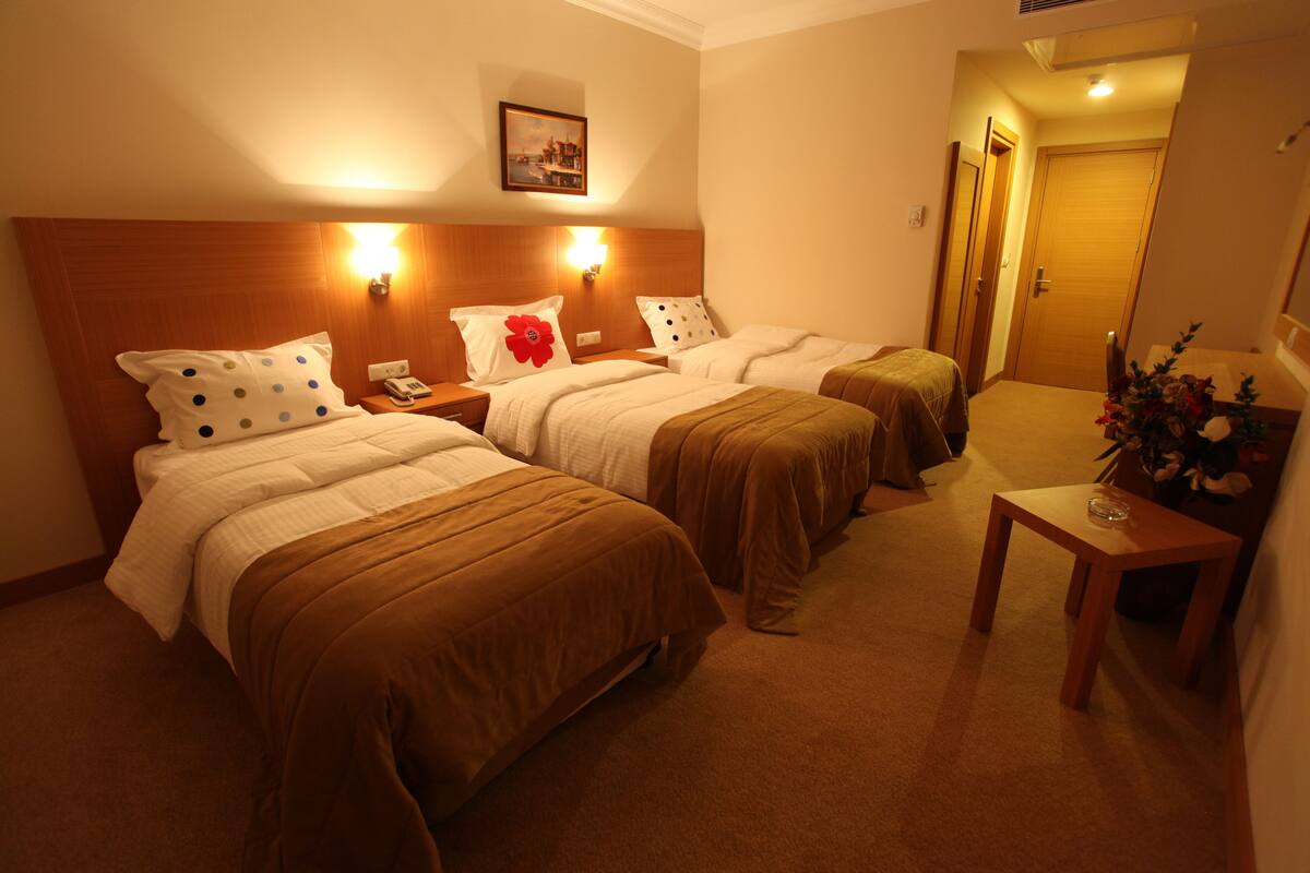 Tripla Standard | 1 camera, cassaforte in camera, tende oscuranti, Wi-Fi gratuito