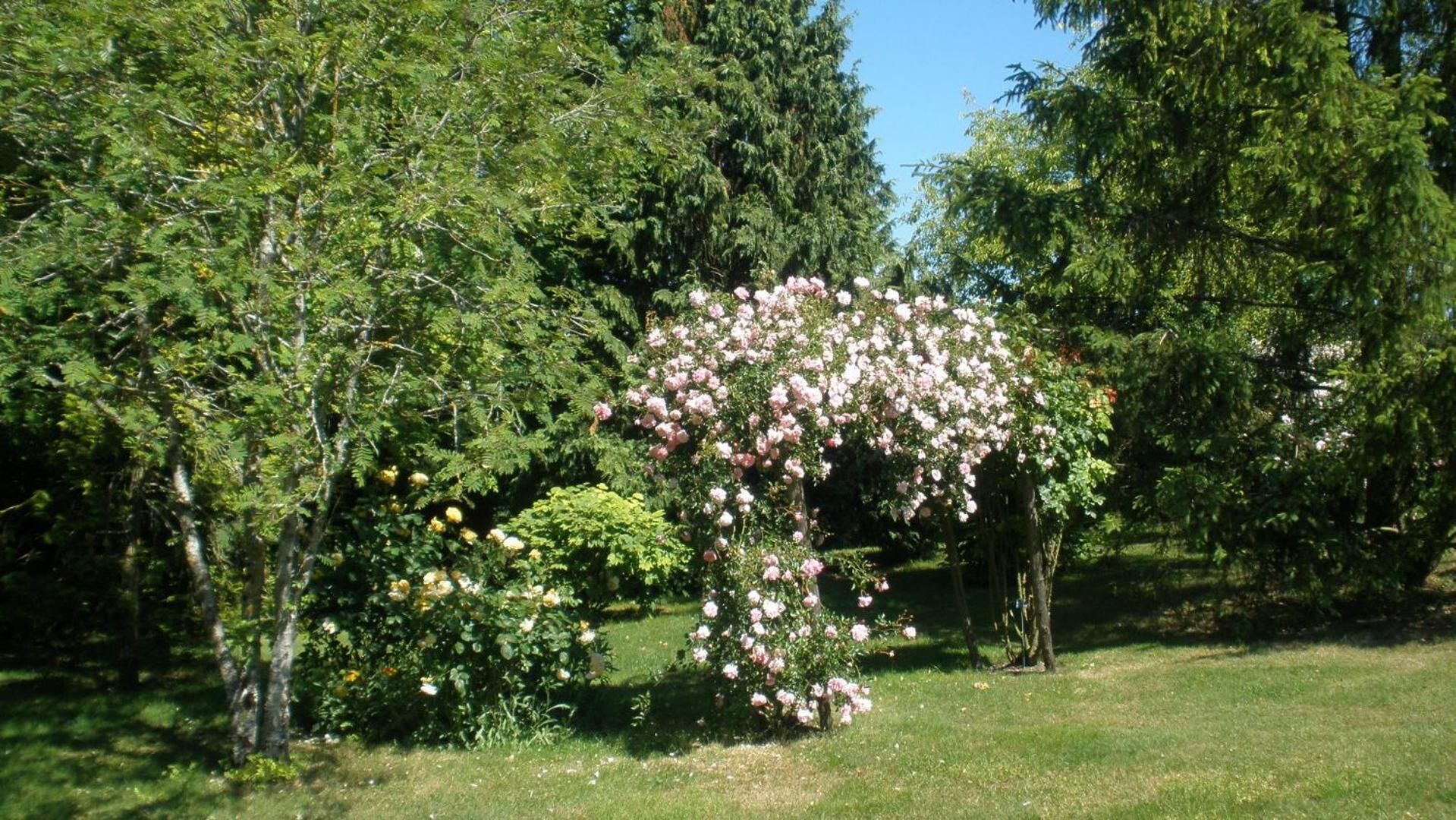 A garden with a variety of trees and flowering plants, including a prominent pink flowering tree.
