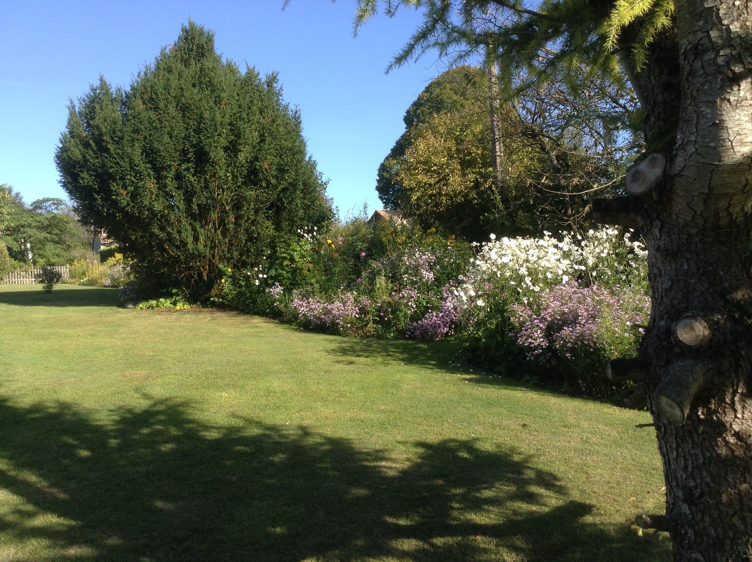 En velholdt have med mange blomster og træer, en klar himmel og en græsplæne.