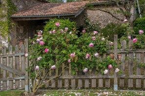 Jardines del alojamiento