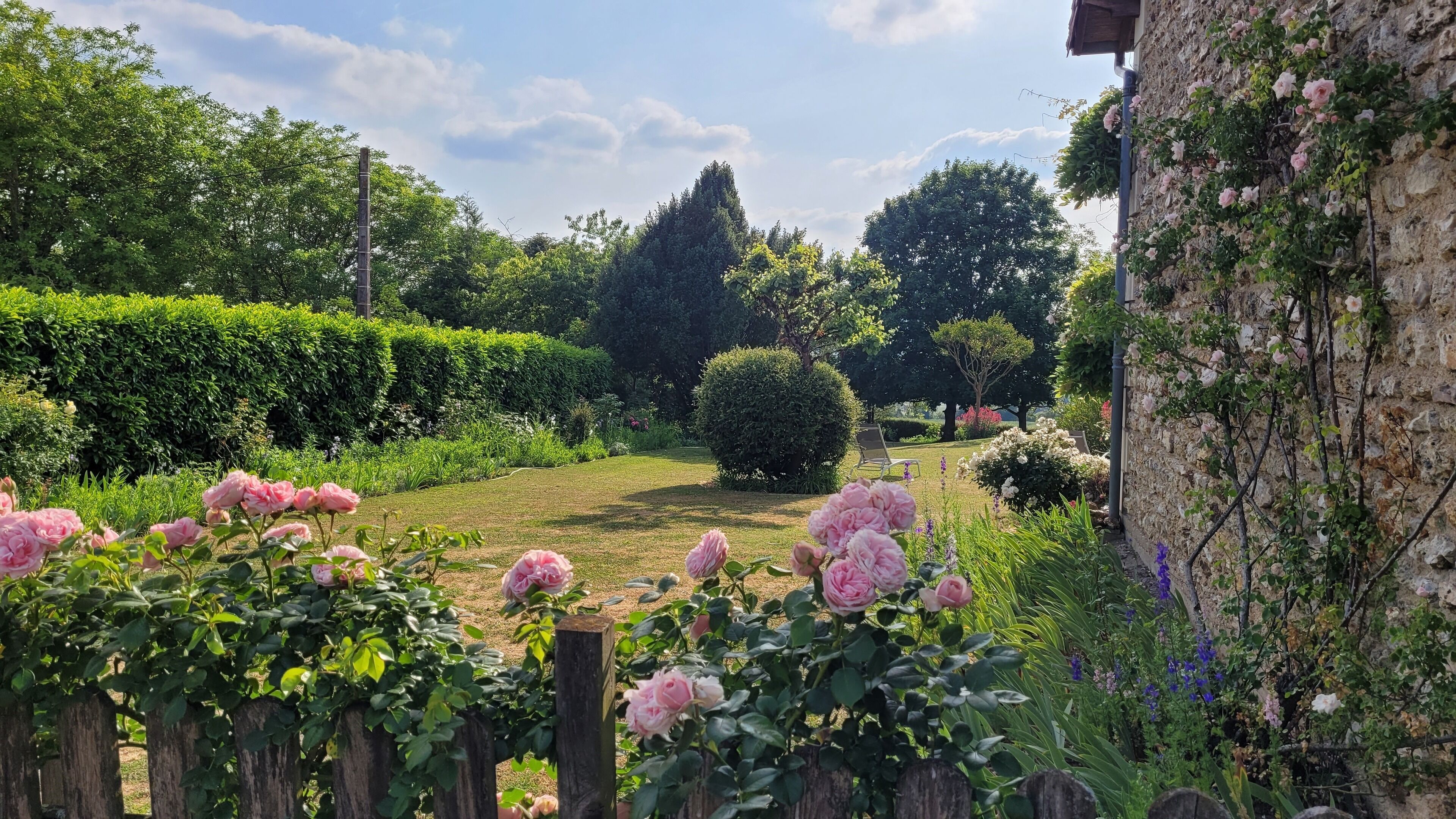 A garden with a variety of flowers and neatly trimmed hedges.