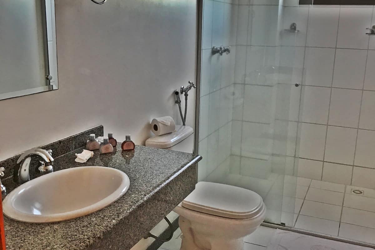 shower, free toiletries, hair dryer, towels