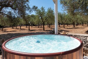 Executive Villa, 1 Bedroom, Air conditioning | Private spa tub