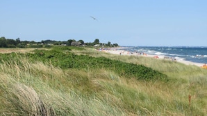Une plage côtière bordée de dunes herbeuses, un ciel dégagé et une ligne d’horizon lointaine où l’on aperçoit des bâtiments.