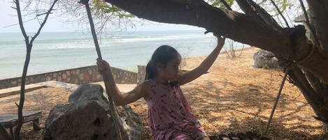 A person sitting on a wooden swing under a tree by the beach.