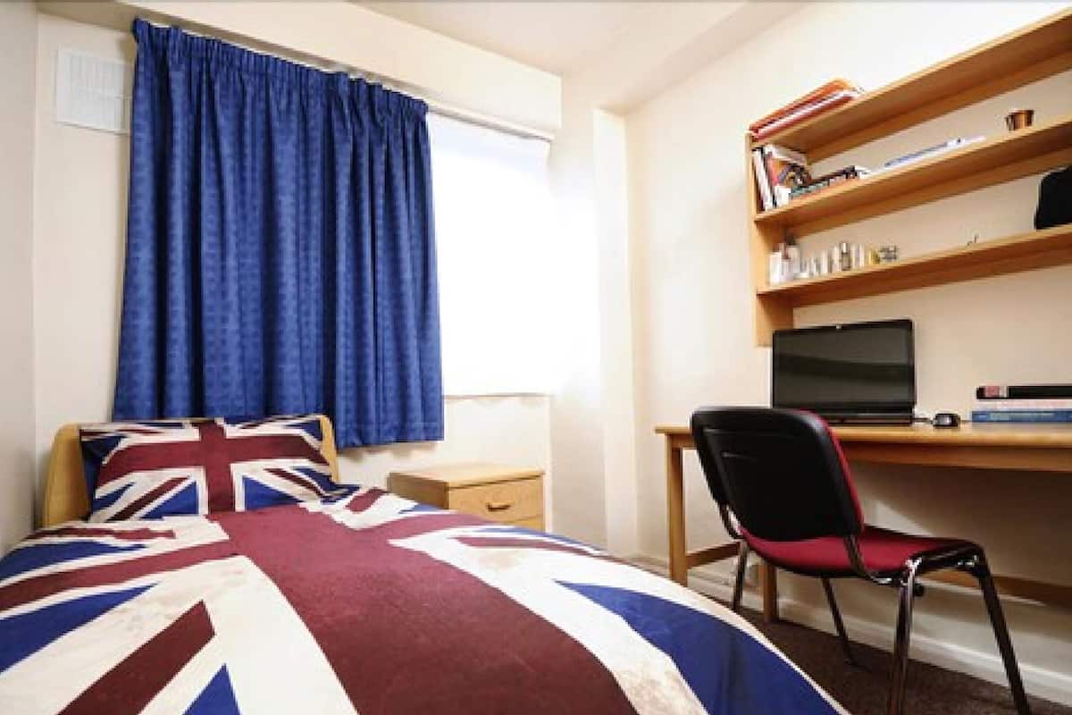 A bedroom with a bed, a desk, a chair, a television, and a bookshelf.