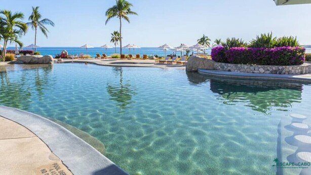 A clear pool with a view of the ocean, surrounded by lounge chairs and palm trees. - Casa Del Mar Beachfront Luxury 2BR Condo (San Jose del Cabo)