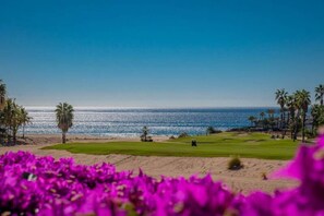 Golf - Casa Del Mar Beachfront Luxury 2BR Condo (San Jose del Cabo)