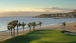 A golf course with a beach view, palm trees, and a cacti in the foreground.