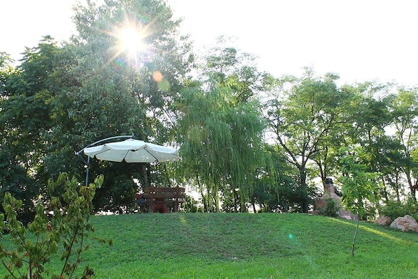 Comfort-Zimmer, Nichtraucher, Gartenblick | Blick auf den Garten