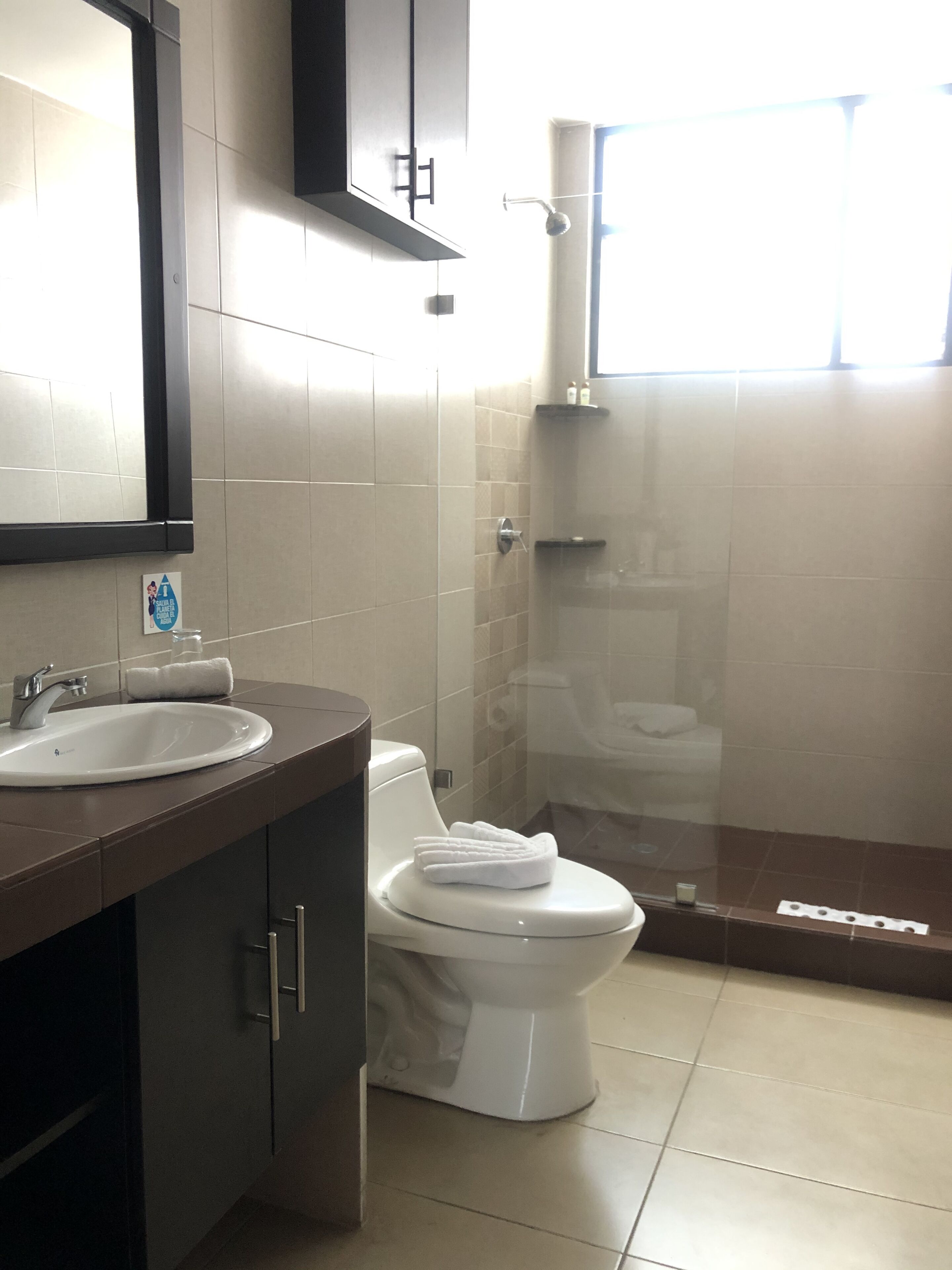 shower, bidet, towels