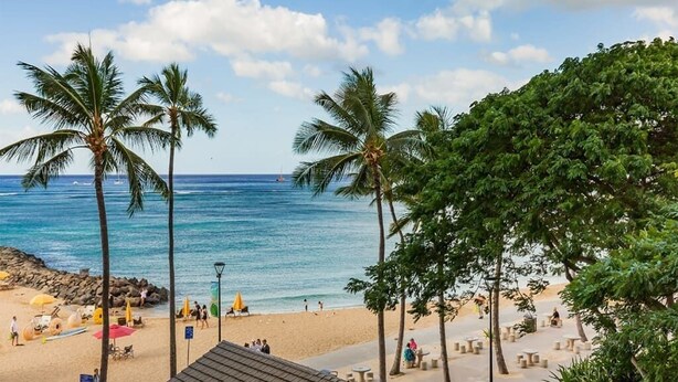 A beach with palm trees, a sandy shore, and a clear blue sky. - Chic Studio w/Kitchenette, Lanai, AC, Washer/Dryer–Waikīkī Shore 304 (HONOLULU)