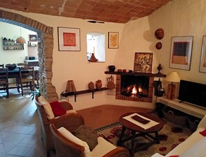 Televisión, chimenea, reproductor de DVD y libros 